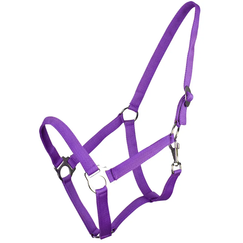 QHP Q Essentials Slide Headcollar - Passion Flower