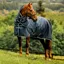 Amigo Ripstop 900D Plus 200g Detachable Neck Turnout Rug - Witney Navy