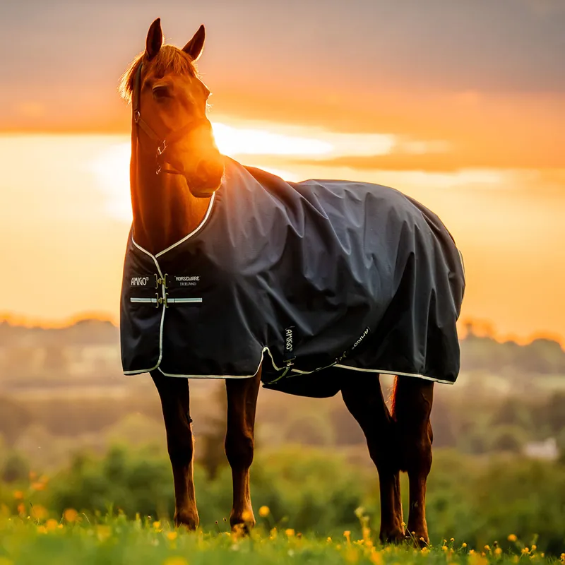 Amigo Ripstop 900D Fleece Lined 50g Turnout Rug - Witney Navy-2