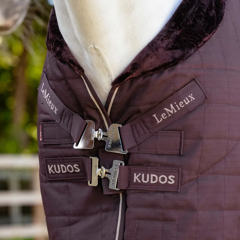 LeMieux Kudos Luxe Lined 100g Stable Rug - Damson-4