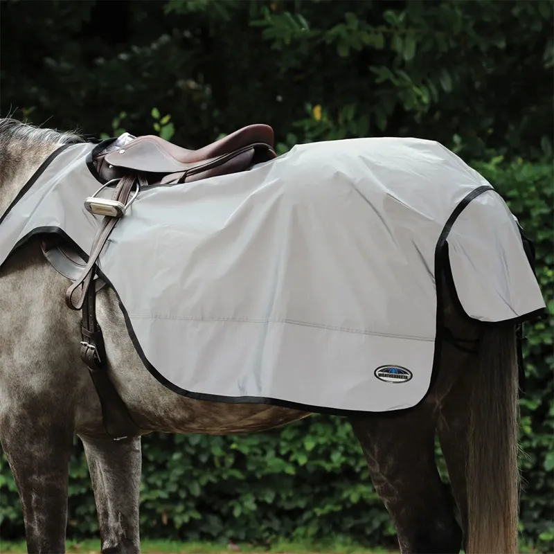 WeatherBeeta Reflective V1 Wrap Around Exercise Sheet - Silver