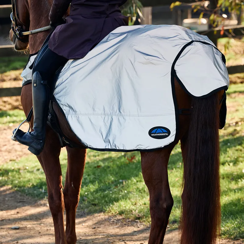 WeatherBeeta Reflective Wrap Around Exercise Sheet - Silver/Black