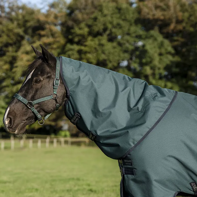 Amigo Ripstop 900D Plus 0g Turnout Rug - Dynasty Green/Navy/Silver-3