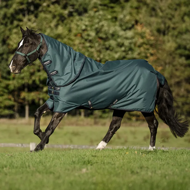 Amigo Ripstop 900D Plus 0g Turnout Rug - Dynasty Green/Navy/Silver