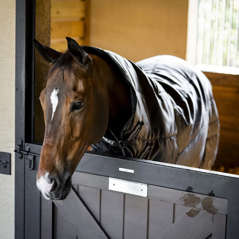Amigo Ripstop Insulator Plus 200g Detachable Neck Stable Rug - Black-1