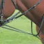 Shires Blenheim Market Harborough with Continental Reins - Brown