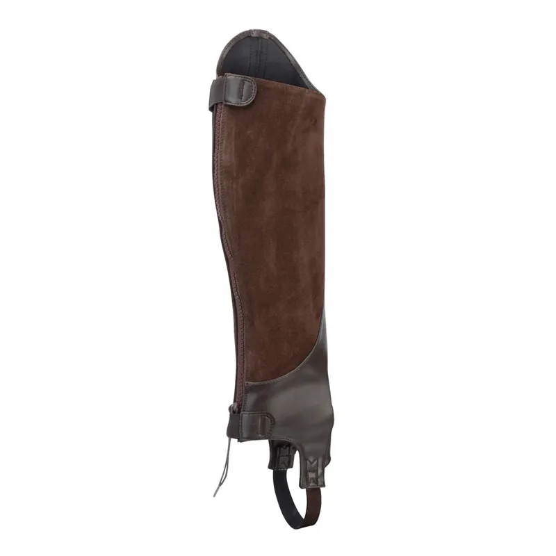 Moretta Synthetic Adults Riding Gaiters - Brown-1