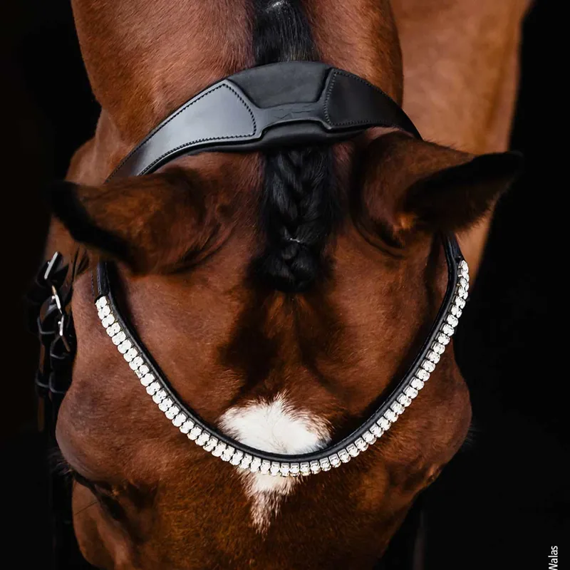 Schockemohle Isabell Werth Johnny Flash Bridle - Black/Silver-5