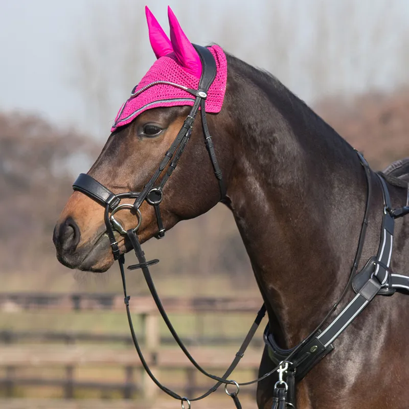 QHP Sedna Bridle with Reins - Black-1