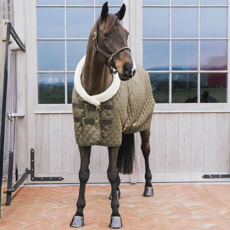 Kentucky 160g Show Rug - Khaki-4