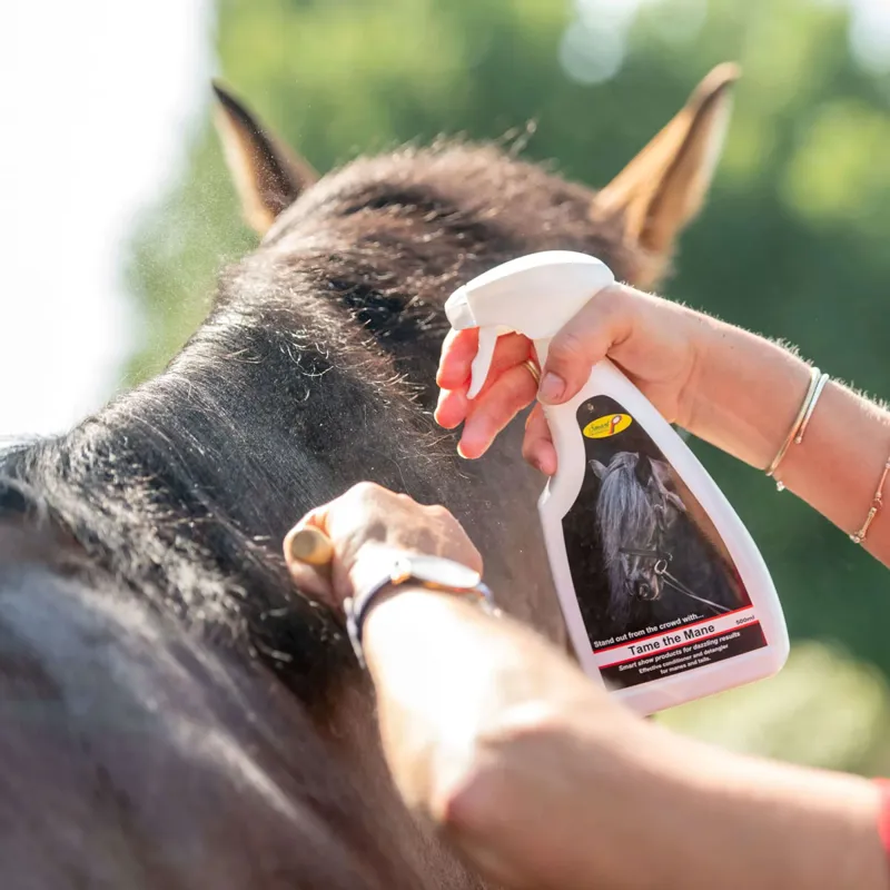 Smart Grooming Tame The Mane Spray-1