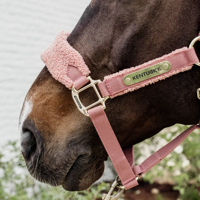 Kentucky Teddy Fleece Headcollar - Old Rose-7