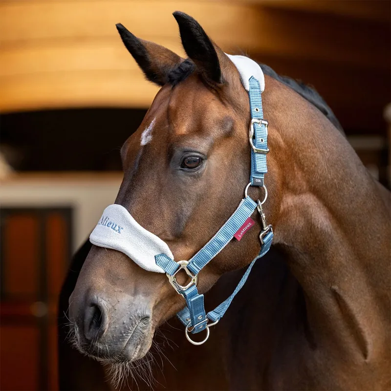 LeMieux Vogue Headcollar and Lead Rope Set - Ice Blue-1