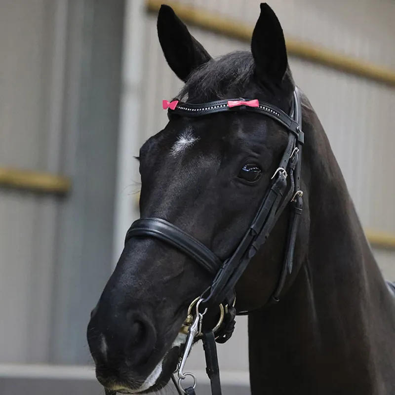 Equetech Horse Warning Competition Bridle Ribbon - Pink-2