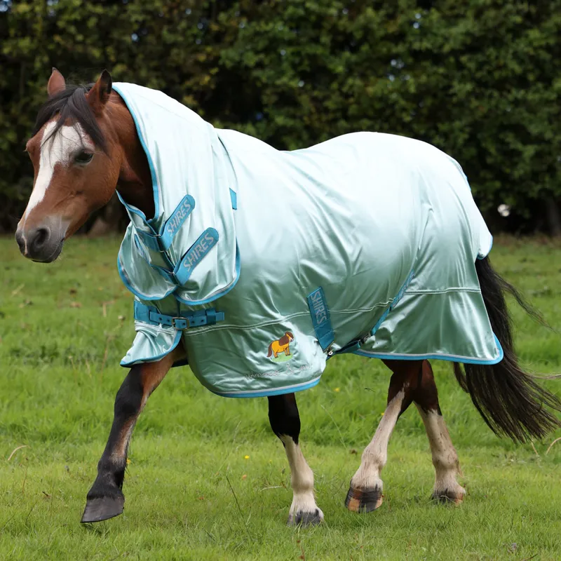 Winnie and Me Combo Neck Fly Rug - Blue