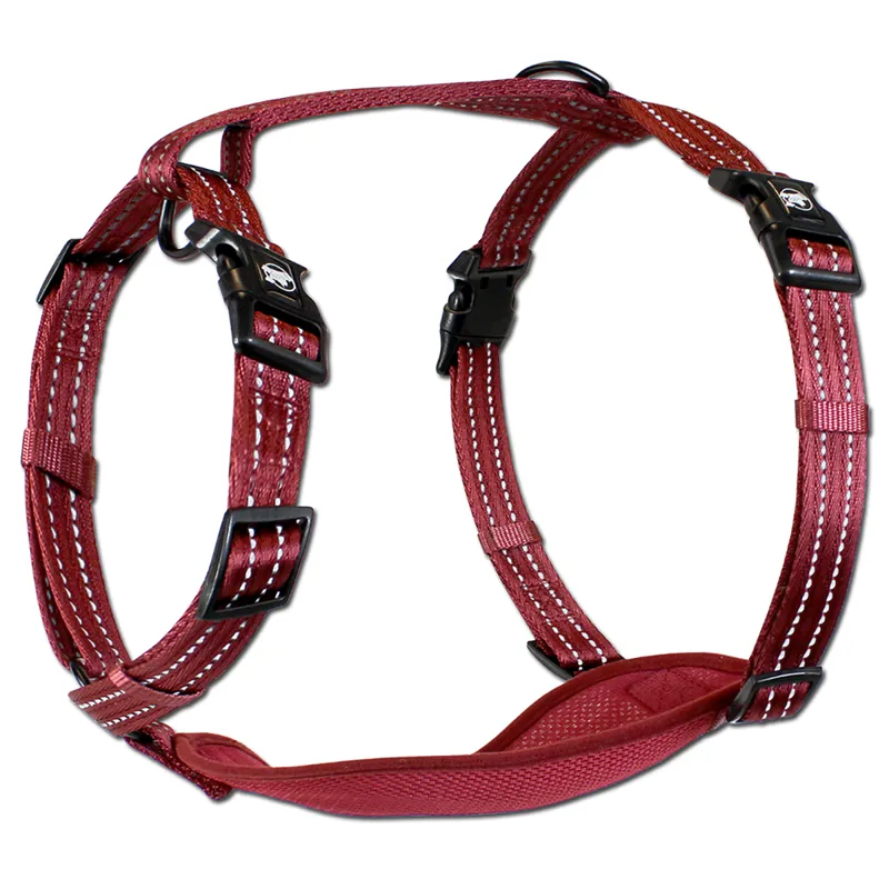 Alcott Adventure Dog Harness - Red