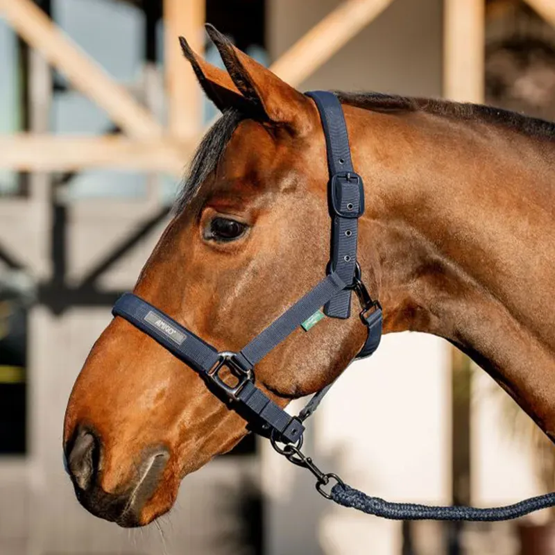 Amigo Headcollar and Lead Rope Set - Navy