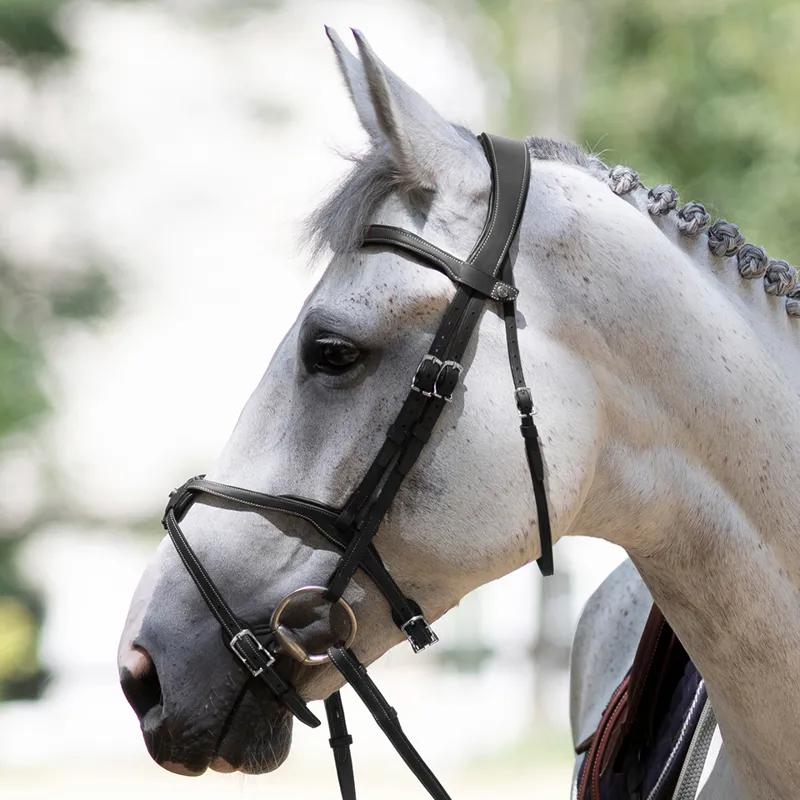 Antares Origin Grackle Bridle - Black