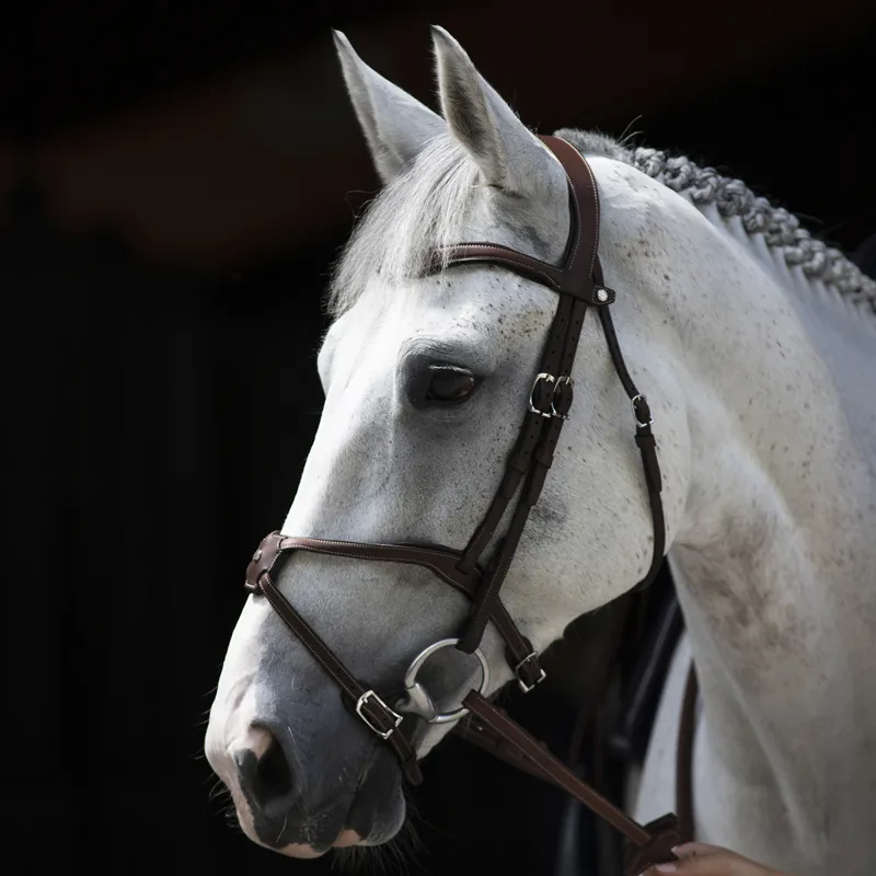 Antares Origin Grackle Bridle - Brown