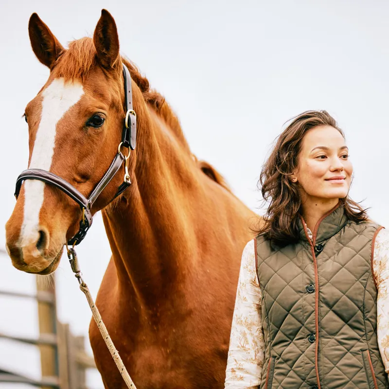 Ariat Country Woodside 2.0 Ladies Quilted Gilet - Earth-9