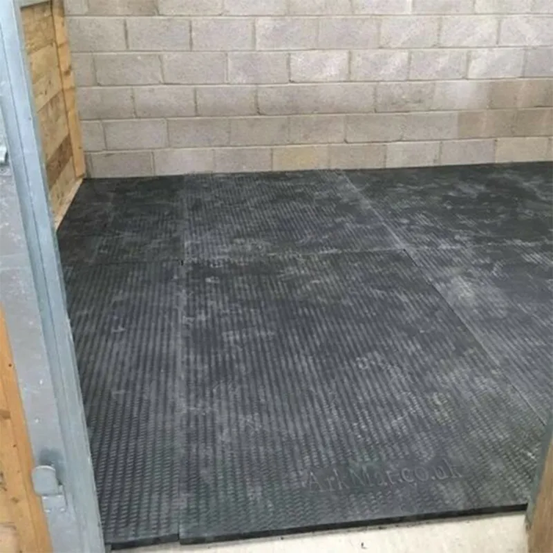 Arkmat Supersoft EVA Stable Floor Rubber Mat - 6ft x 4ft - 24mm Thick-3