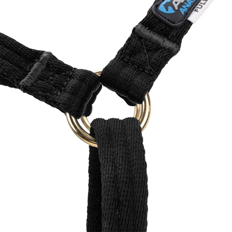 ARMA Cushion Web Headcollar and Leadrope - Black-5