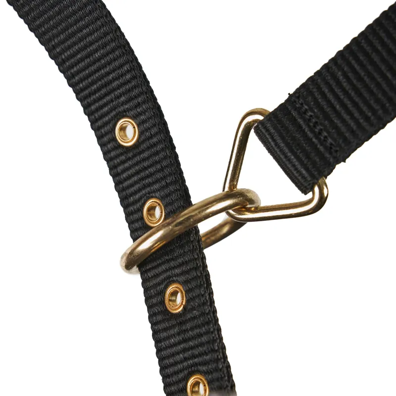 ARMA Fleece Lined Lunge Cavesson - Black-3