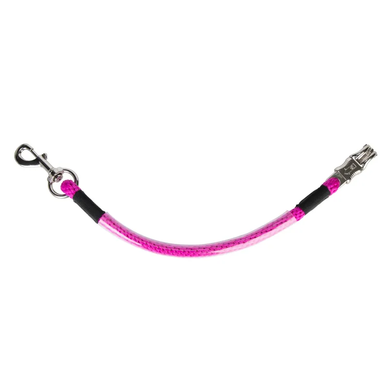 ARMA Heavy Duty Trailer Tie - Raspberry