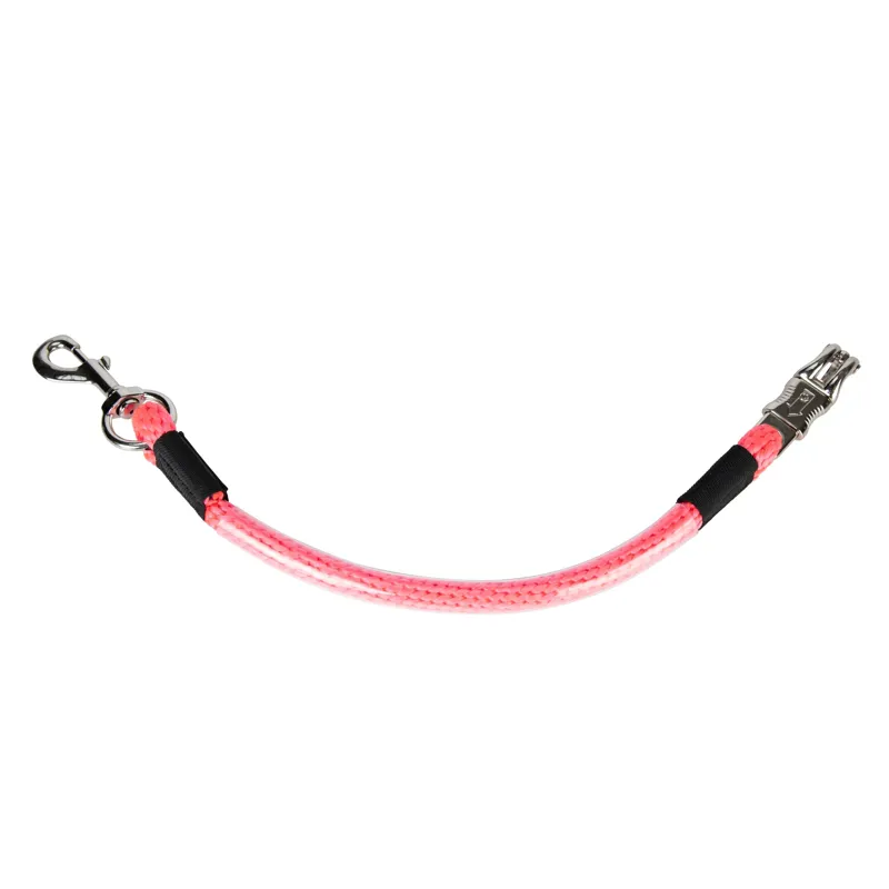 ARMA Heavy Duty Trailer Tie - Pink