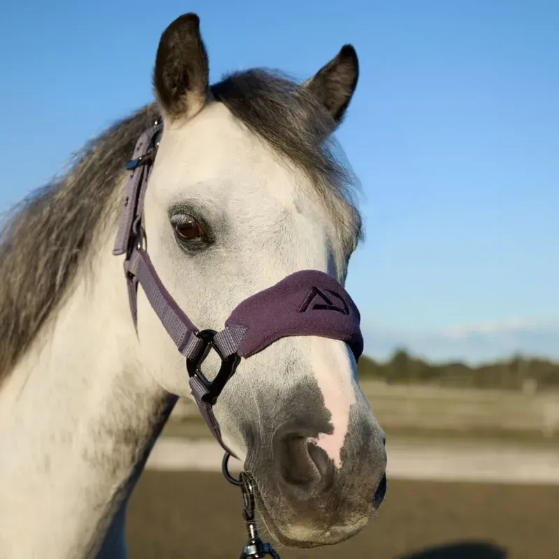 Aztec Diamond Panel Headcollar - Amethyst-1