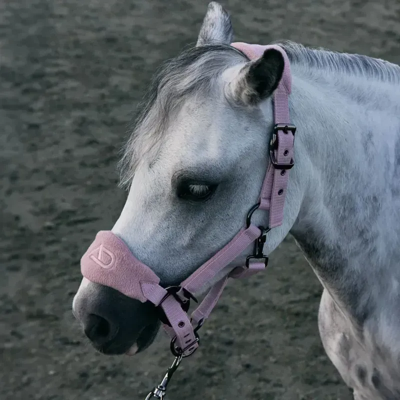 Aztec Diamond Panel Headcollar - Pink-1
