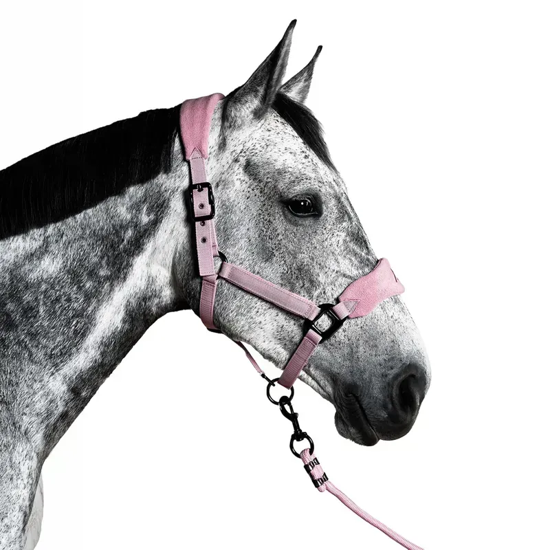 Aztec Diamond Panel Headcollar - Pink
