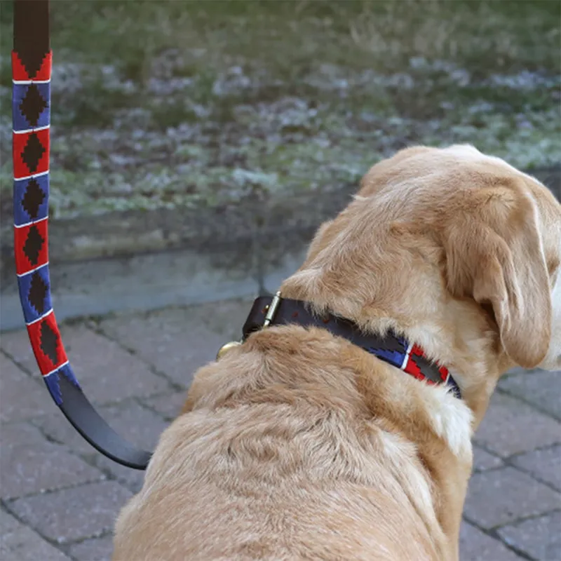 Benji and Flo Sublime Polo Leather Dog Collar - Red/Navy/White-2