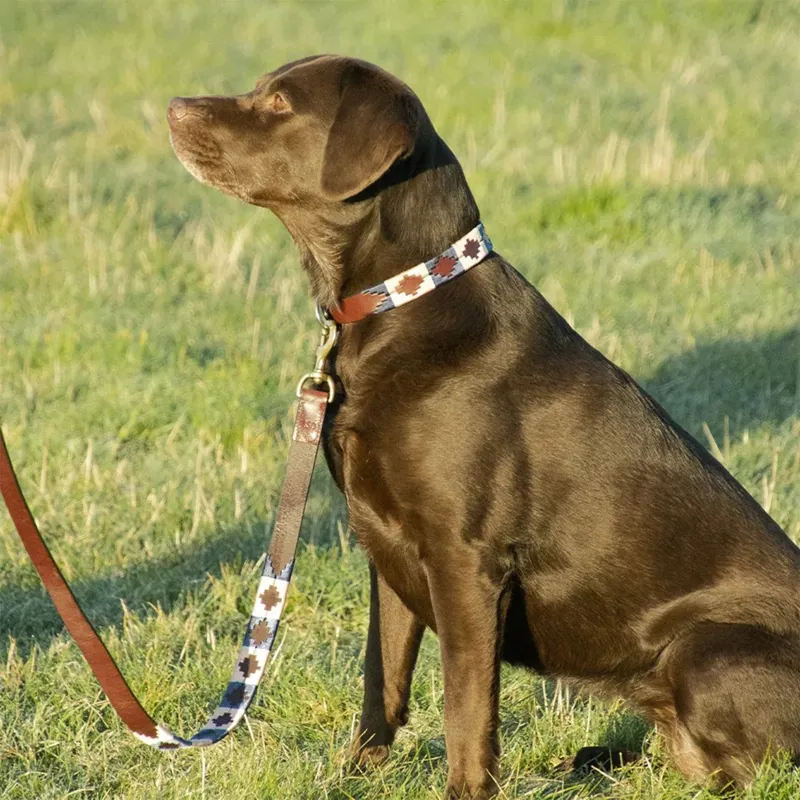 Benji and Flo Sublime Polo Leather Dog Lead - Navy/Fossil-1