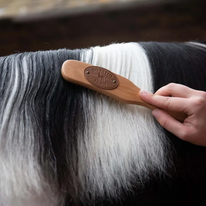 Borstiq Ergo Medium Mane and Tail Brush-4
