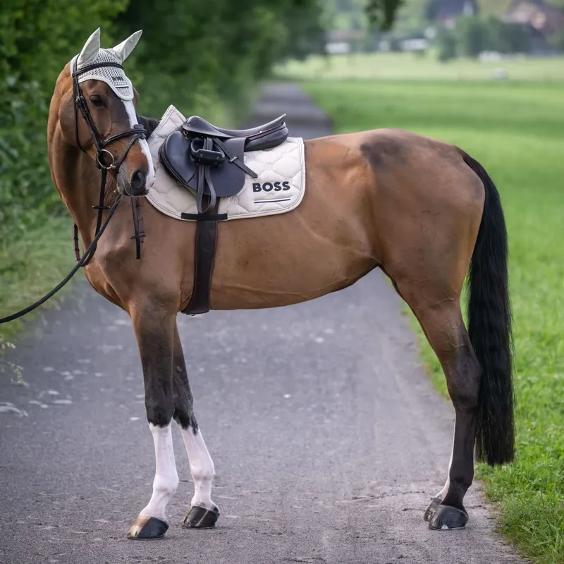BOSS Equestrian Cheltenham Jump Saddlecloth - Pumice -2