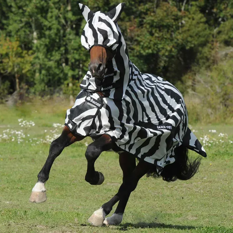 Bucas Buzz-Off Full Neck Fly Rug - Zebra Print-9