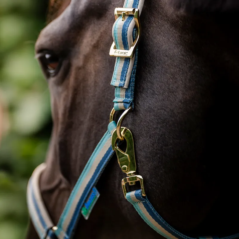 Bucas Dublin Headcollar - Turquoise-1