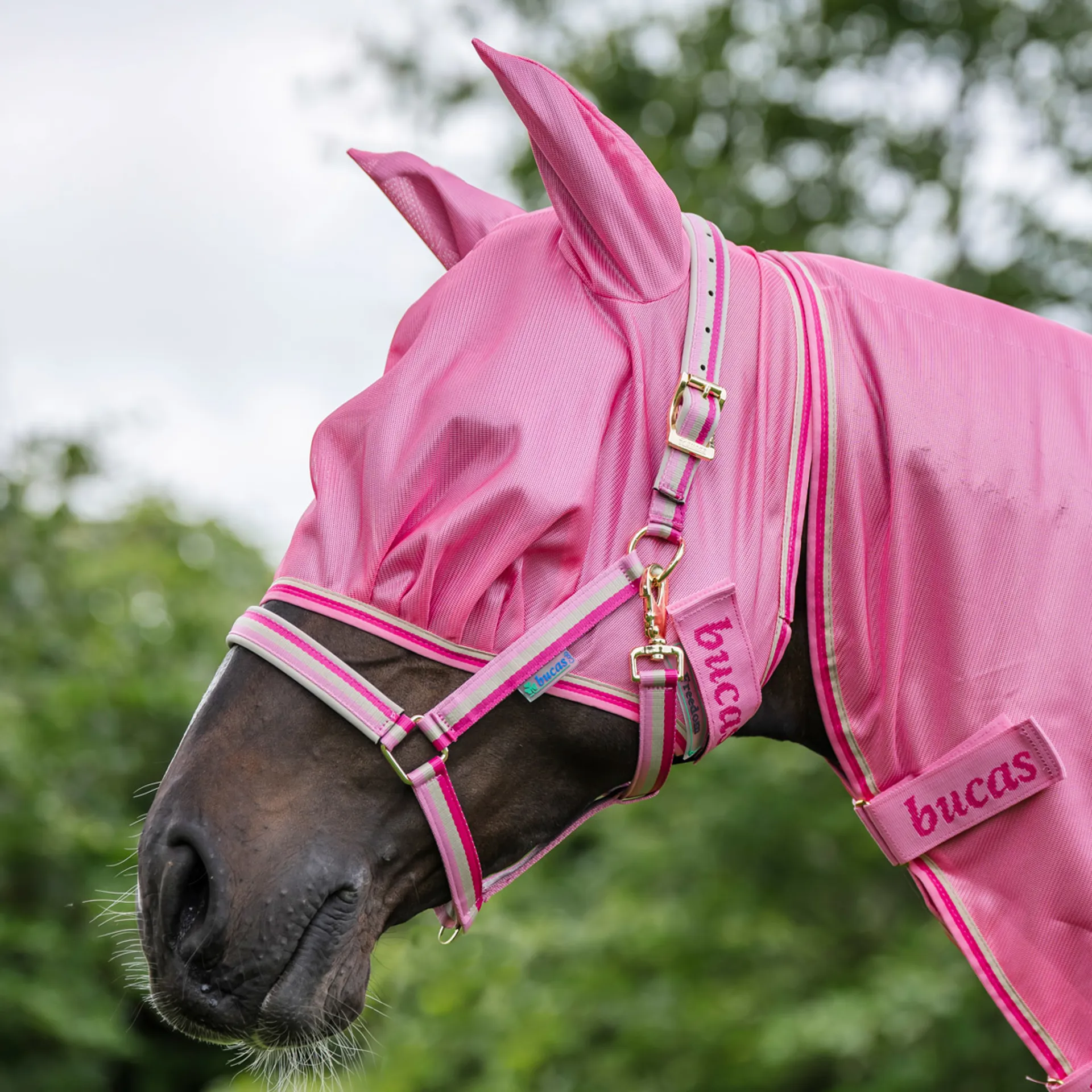 Bucas Freedom Fly Mask - Aurora Pink