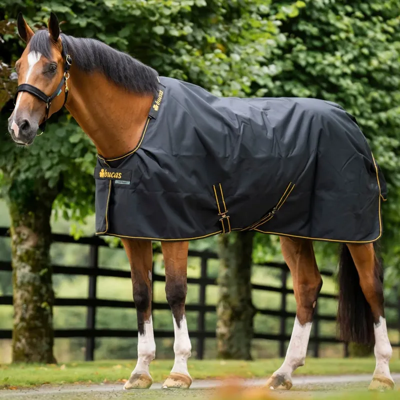 Bucas Irish 50g Standard Neck Turnout Rug - Black/Gold