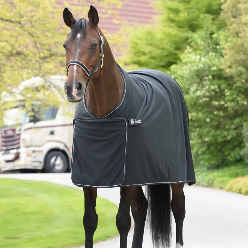 Bucas Panel Prize Cooler Rug - Black/Silver