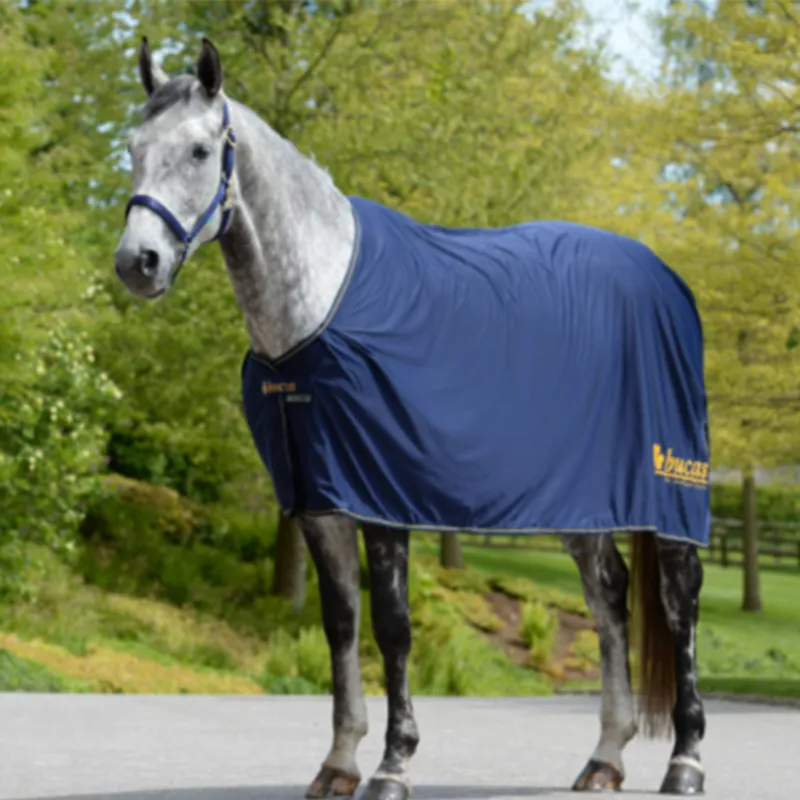 Bucas Power Prize Logo Cooler Rug - Navy/Gold