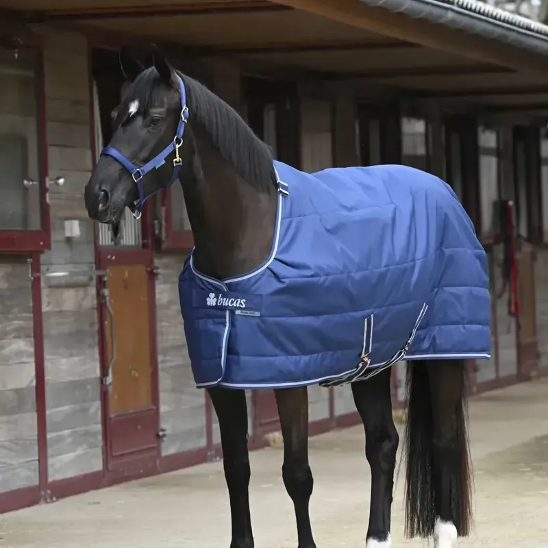 Bucas Quilt 150g Stable Rug with Silk-Feel Lining - Navy/Silver-6