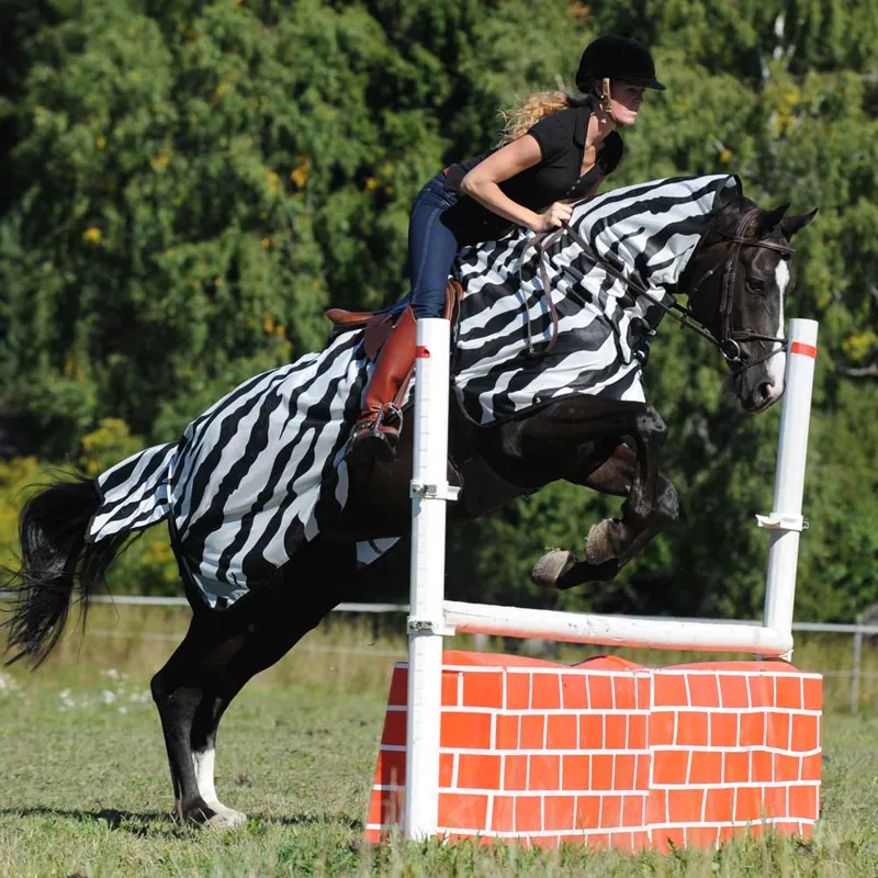 Bucas Buzz-Off Riding Rug - Zebra Print-3