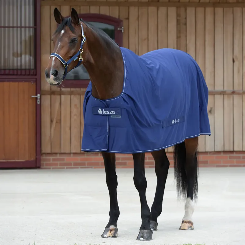 Bucas Shamrock Power Cooler Rug - Navy/Silver