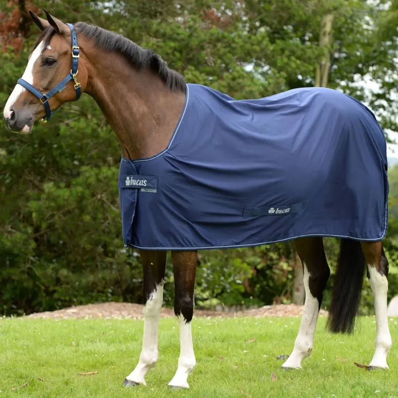 Bucas Shamrock Power Cooler Rug - Navy/Silver-2