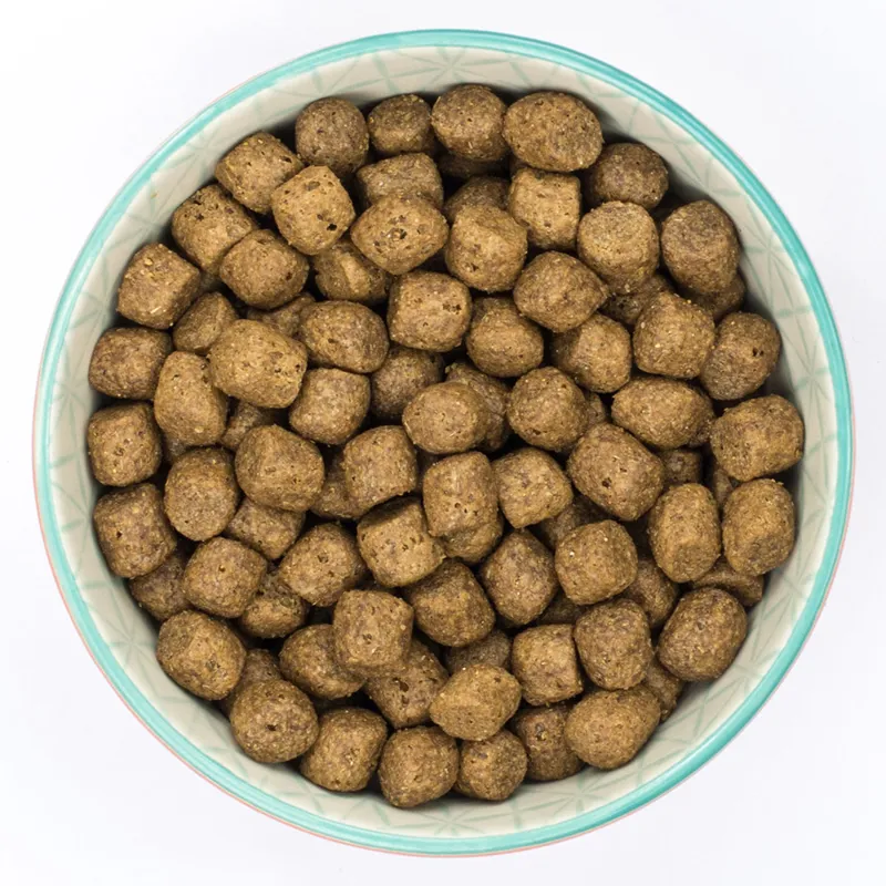 Burns Sensitive Dog Food - Duck and Brown Rice-1