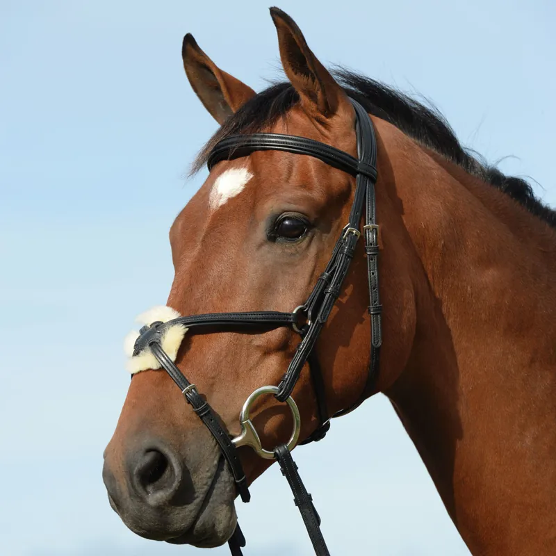 Collegiate Syntovia+ Padded Raised Grackle Bridle with Reins- Black