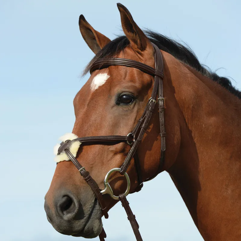 Collegiate Syntovia+ Padded Raised Grackle Bridle with Reins- Brown