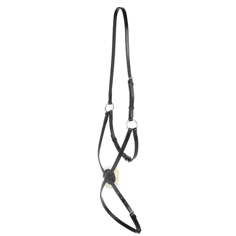 Collegiate IV Grackle Noseband - Black